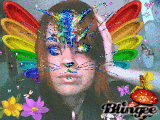 catterfly