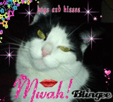 Hugs&KissesDaisy