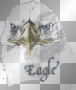 eagle eagle
