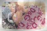 D&G D&G
