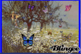 BUTTERFLY FIELDS