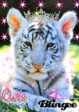 cute little tiger