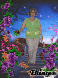FLORES NO MEU CAMINHO !!!
