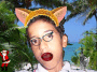 DAVO