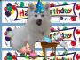 hb