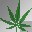 Mini weed