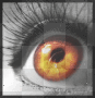 Orange Eye =) Orange Eye =)