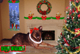 Happy Holidays