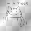 Tigers life