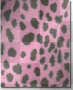 pink & black <leopard print>