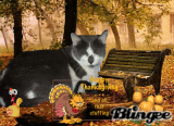 Pikachu Thanksgiving