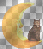 Cat on the Moon Cat on the Moon
