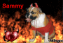 Sammy