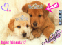 cute dogs