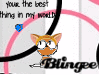 kitty