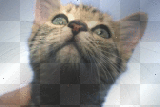 chats