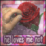 he love me not