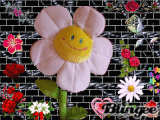 tite fleurs