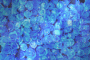 blue glitter roses