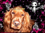 chien