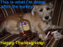 vash t-party vash t-party