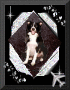 chien