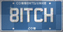 Bitch