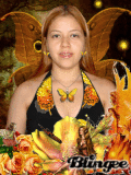 Fairy Butterfly