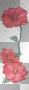 Red flowers