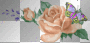 Roses and butterfly