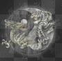 tiger an dragon