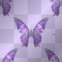 Purple Butterflies