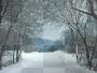 Snowy Aisle