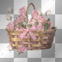 pink roses in basket