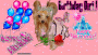 Roxy Birthday Girl!