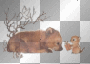 baby bear & chipmunk