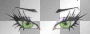 faces