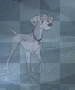 Perdita