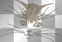 Cat's face