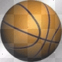 the basketball
