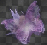 MARIPOSA