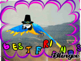 the flying bird