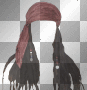 pirate