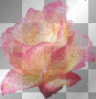 flower flower