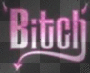 bitch