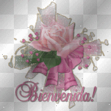 bienvenida
