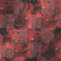sparkle red roses