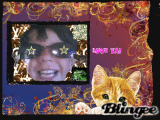 MY BUDDIES