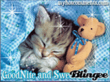 PURE SWEETNESS