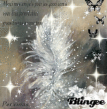 ma plume